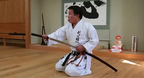 Soshinkan Karate Történelem
